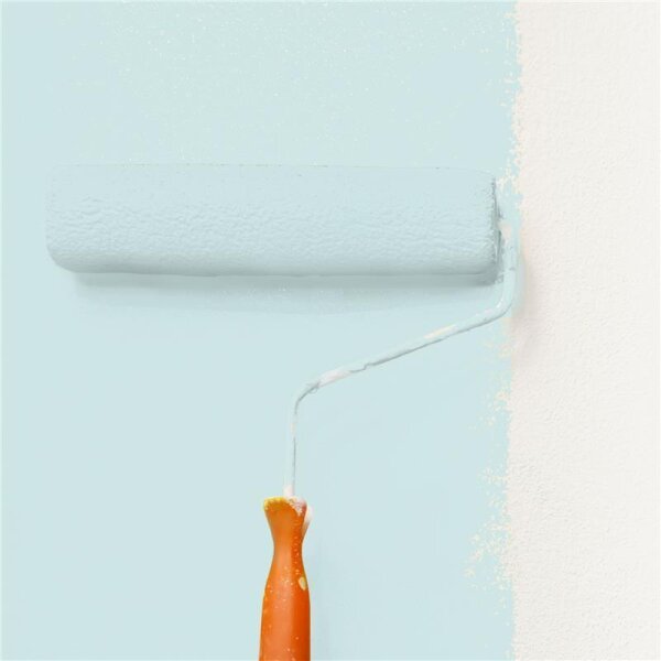 Wandfarbe Matt NCS-S-1010-B50G WALLCOVER Colors