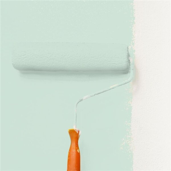 Wandfarbe Matt NCS-S-1010-G WALLCOVER Colors