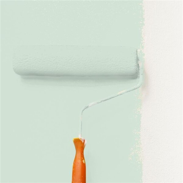 Wandfarbe Matt NCS-S-1010-G10Y WALLCOVER Colors
