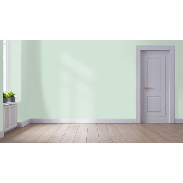 Wandfarbe Matt NCS-S-1010-G10Y WALLCOVER Colors