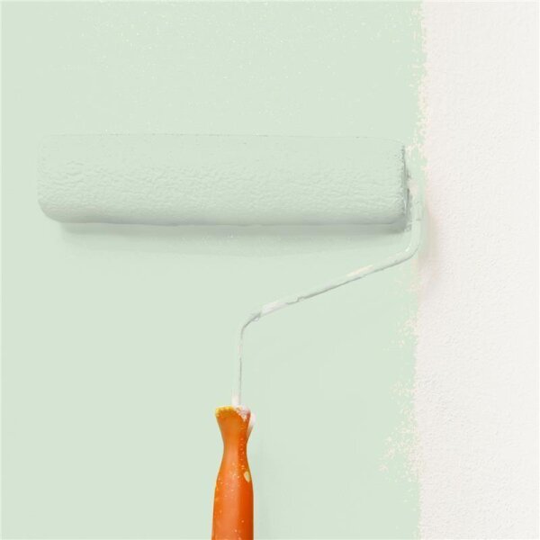 Wandfarbe Matt NCS-S-1010-G20Y WALLCOVER Colors