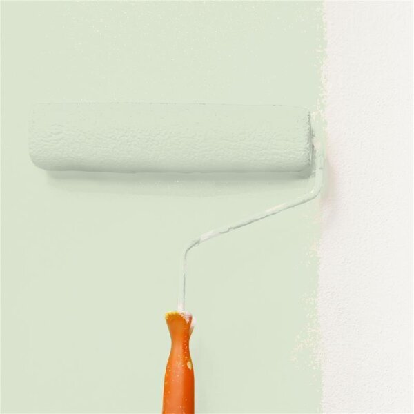 Wandfarbe Matt NCS-S-1010-G30Y WALLCOVER Colors