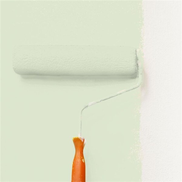 Wandfarbe Matt NCS-S-1010-G40Y WALLCOVER Colors