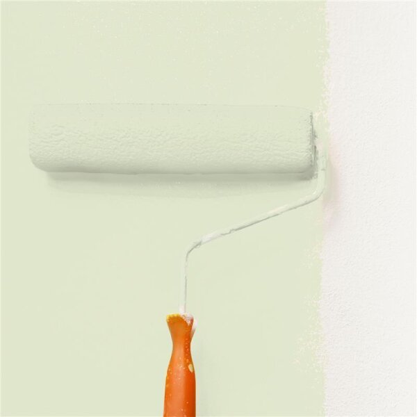 Wandfarbe Matt NCS-S-1010-G50Y WALLCOVER Colors
