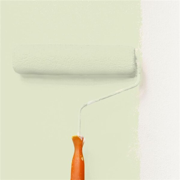 Wandfarbe Matt NCS-S-1010-G60Y WALLCOVER Colors
