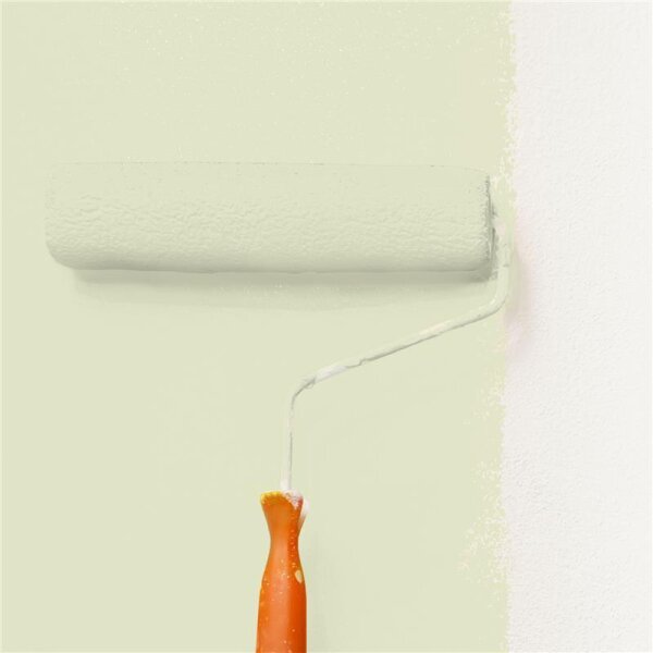 Wandfarbe Matt NCS-S-1010-G70Y WALLCOVER Colors