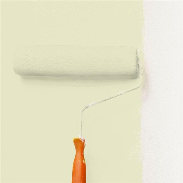 Wandfarbe Matt NCS-S-1010-G80Y WALLCOVER Colors