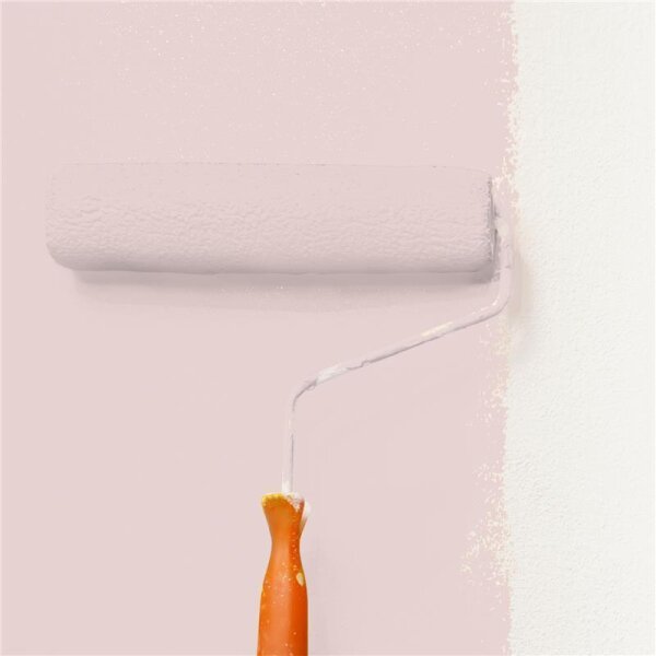 Wandfarbe Matt NCS-S-1010-R WALLCOVER Colors