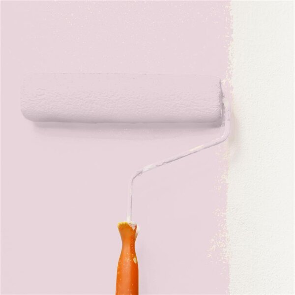 Wandfarbe Matt NCS-S-1010-R20B WALLCOVER Colors
