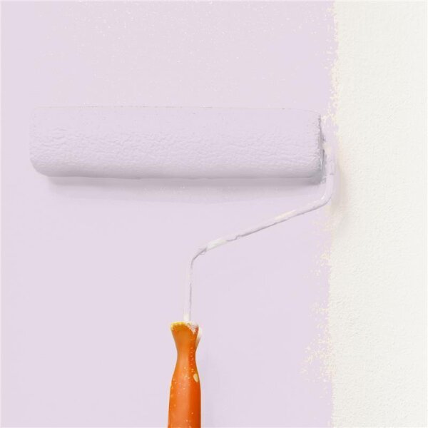 Wandfarbe Matt NCS-S-1010-R40B WALLCOVER Colors