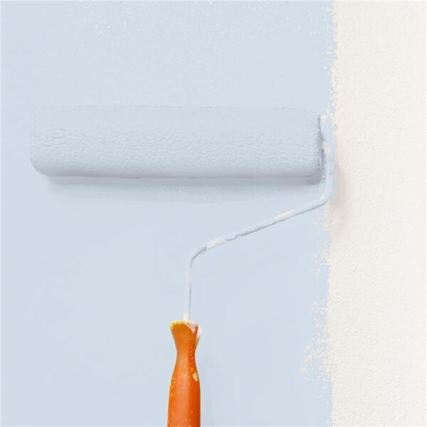 Wandfarbe Matt NCS-S-1010-R80B WALLCOVER Colors