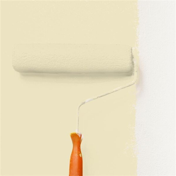 Wandfarbe Matt NCS-S-1010-Y WALLCOVER Colors