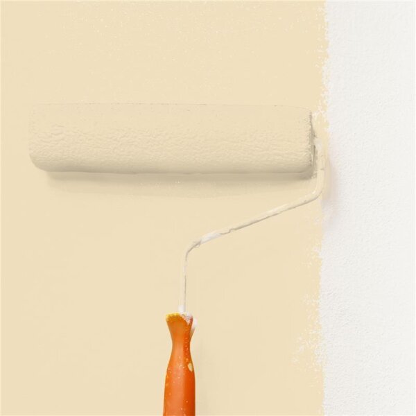 Wandfarbe Matt NCS-S-1010-Y20R WALLCOVER Colors