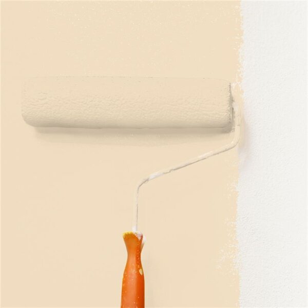 Wandfarbe Matt NCS-S-1010-Y30R WALLCOVER Colors