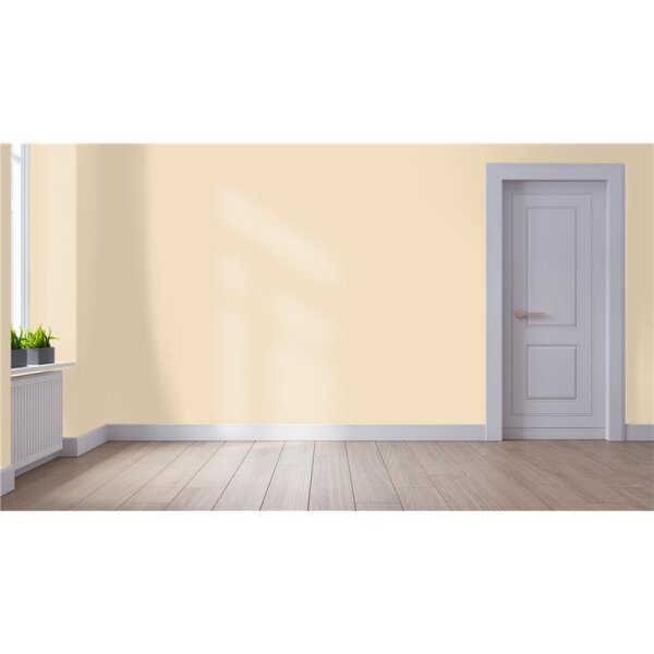 Wandfarbe Matt NCS-S-1010-Y30R WALLCOVER Colors