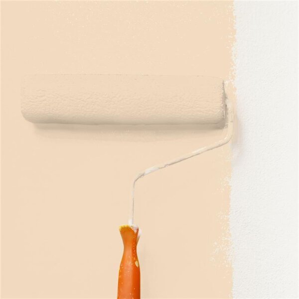 Wandfarbe Matt NCS-S-1010-Y40R WALLCOVER Colors