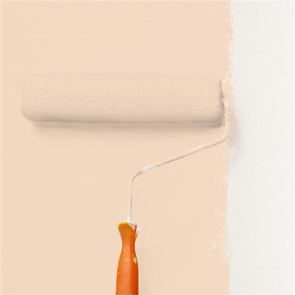 Wandfarbe Matt NCS-S-1010-Y50R WALLCOVER Colors