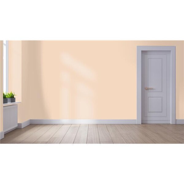 Wandfarbe Matt NCS-S-1010-Y50R WALLCOVER Colors