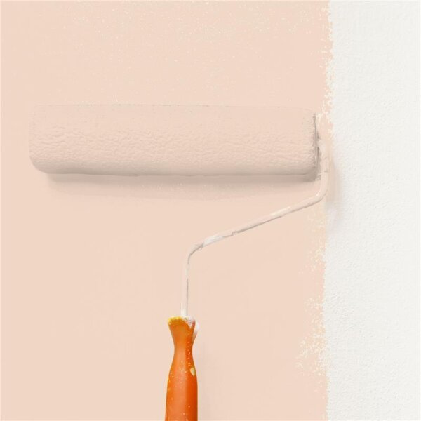 Wandfarbe Matt NCS-S-1010-Y60R WALLCOVER Colors