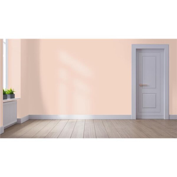 Wandfarbe Matt NCS-S-1010-Y70R WALLCOVER Colors