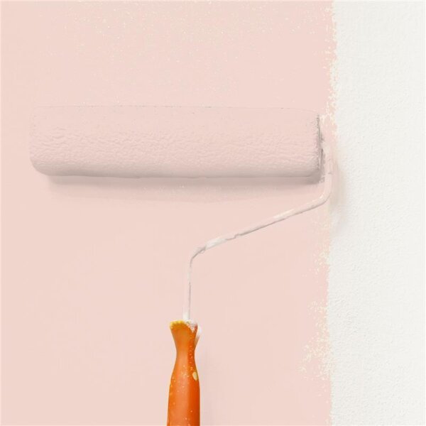 Wandfarbe Matt NCS-S-1010-Y80R WALLCOVER Colors