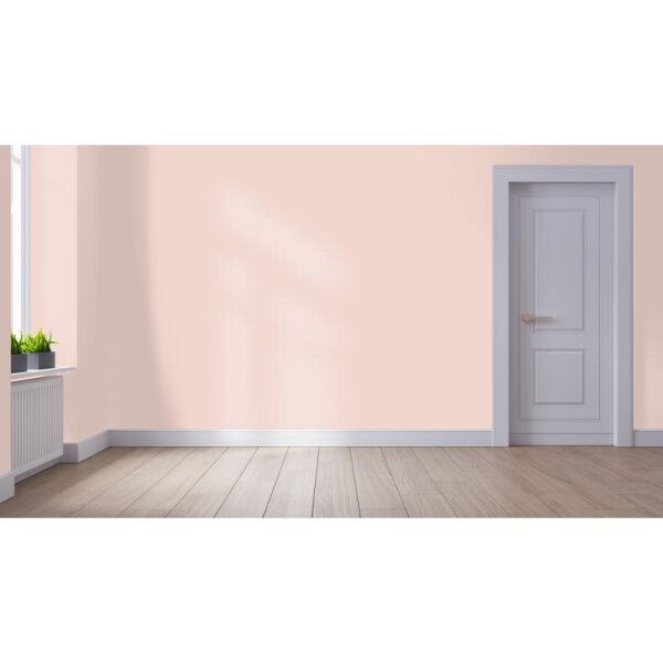 Wandfarbe Matt NCS-S-1010-Y80R WALLCOVER Colors