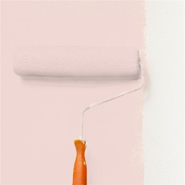 Wandfarbe Matt NCS-S-1010-Y90R WALLCOVER Colors