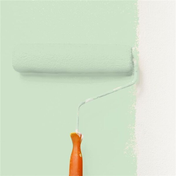 Wandfarbe Matt NCS-S-1015-G20Y WALLCOVER Colors