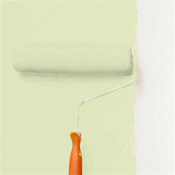 Wandfarbe Matt NCS-S-1015-G60Y WALLCOVER Colors