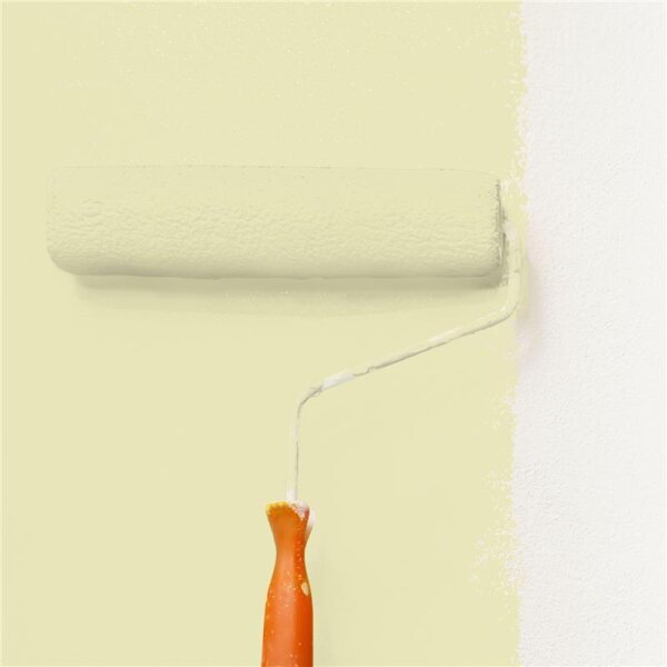 Wandfarbe Matt NCS-S-1015-G80Y WALLCOVER Colors