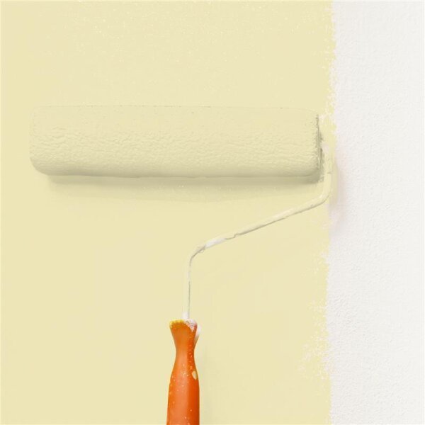 Wandfarbe Matt NCS-S-1015-G90Y WALLCOVER Colors