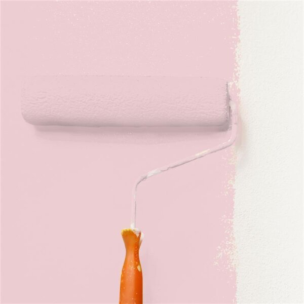 Wandfarbe Matt NCS-S-1015-R10B WALLCOVER Colors