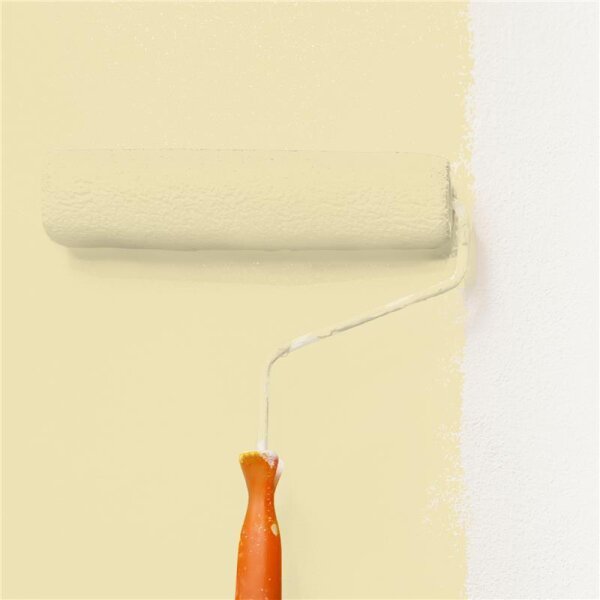 Wandfarbe Matt NCS-S-1015-Y WALLCOVER Colors