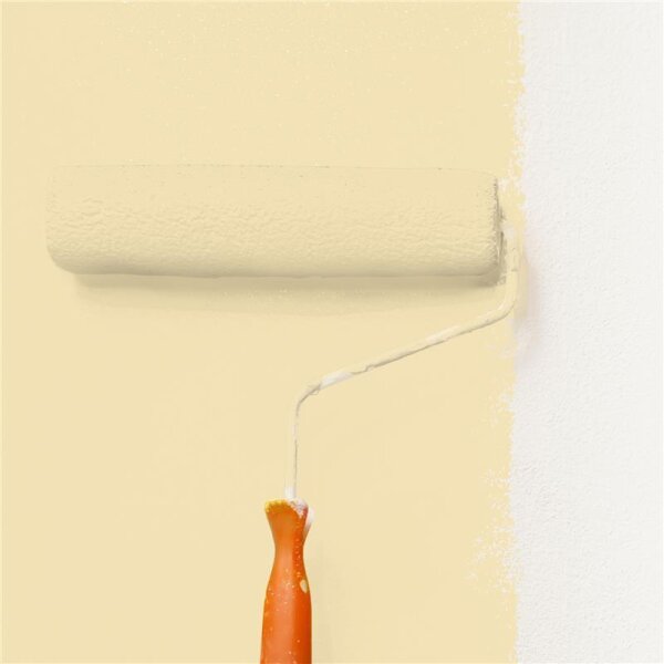 Wandfarbe Matt NCS-S-1015-Y10R WALLCOVER Colors