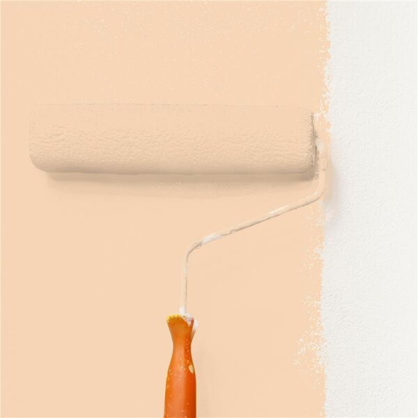 Wandfarbe Matt NCS-S-1015-Y40R WALLCOVER Colors