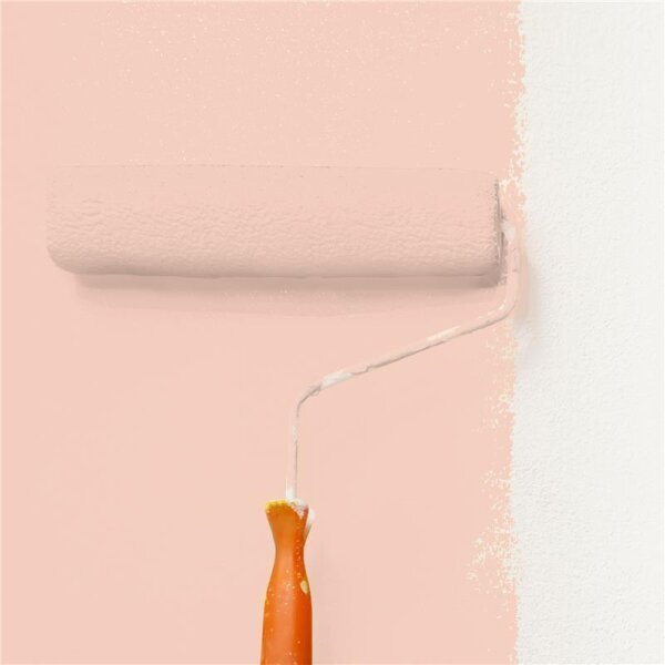 Wandfarbe Matt NCS-S-1015-Y70R WALLCOVER Colors