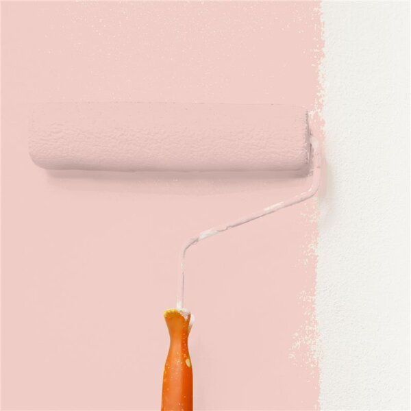 Wandfarbe Matt NCS-S-1015-Y90R WALLCOVER Colors