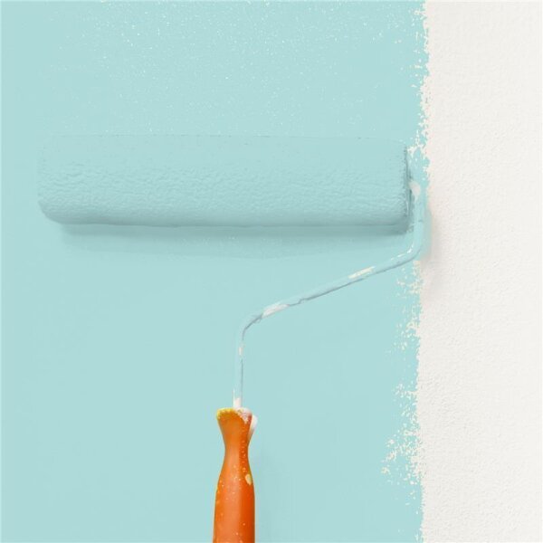Wandfarbe Matt NCS-S-1020-B50G WALLCOVER Colors