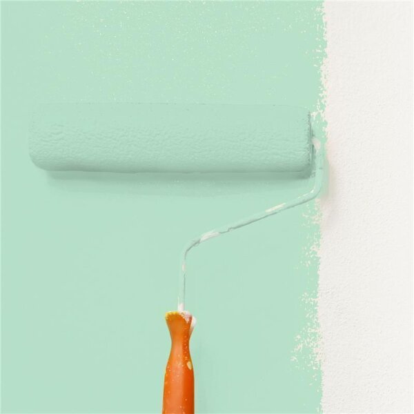 Wandfarbe Matt NCS-S-1020-G WALLCOVER Colors