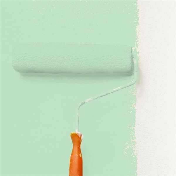 Wandfarbe Matt NCS-S-1020-G10Y WALLCOVER Colors