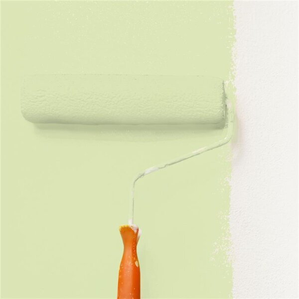 Wandfarbe Matt NCS-S-1020-G50Y WALLCOVER Colors