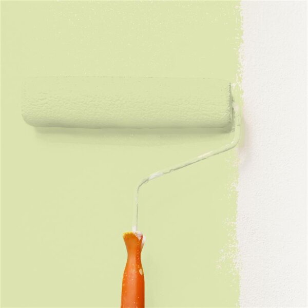 Wandfarbe Matt NCS-S-1020-G60Y WALLCOVER Colors