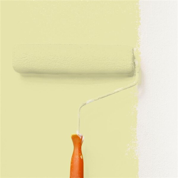 Wandfarbe Matt NCS-S-1020-G80Y WALLCOVER Colors