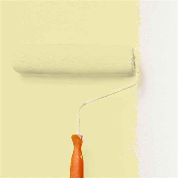Wandfarbe Matt NCS-S-1020-G90Y WALLCOVER Colors