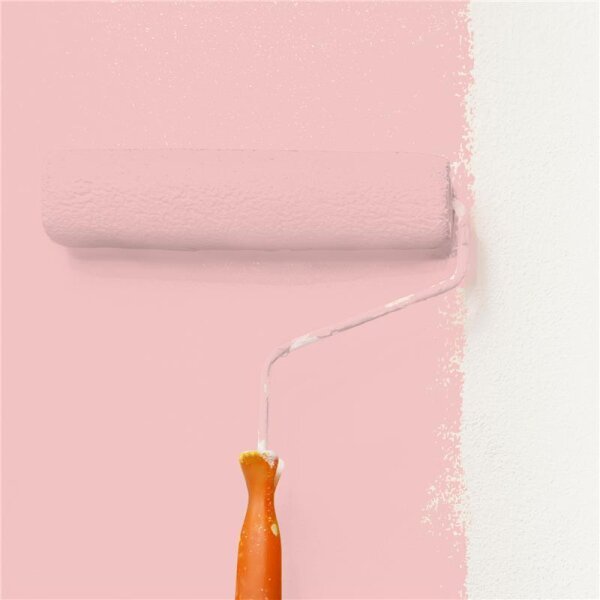 Wandfarbe Matt NCS-S-1020-R WALLCOVER Colors
