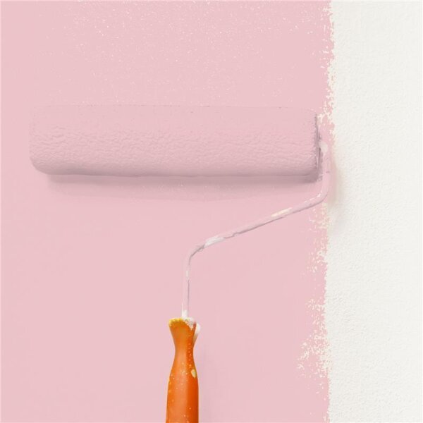 Wandfarbe Matt NCS-S-1020-R10B WALLCOVER Colors