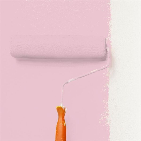 Wandfarbe Matt NCS-S-1020-R20B WALLCOVER Colors