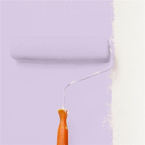Wandfarbe Matt NCS-S-1020-R50B WALLCOVER Colors