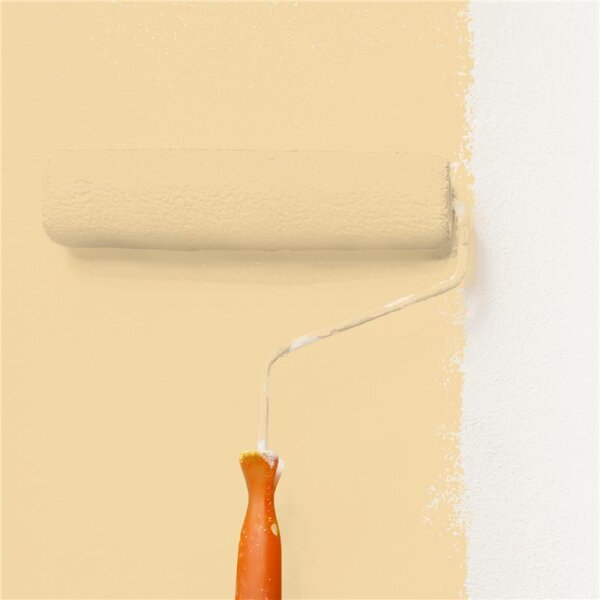 Wandfarbe Matt NCS-S-1020-Y20R WALLCOVER Colors