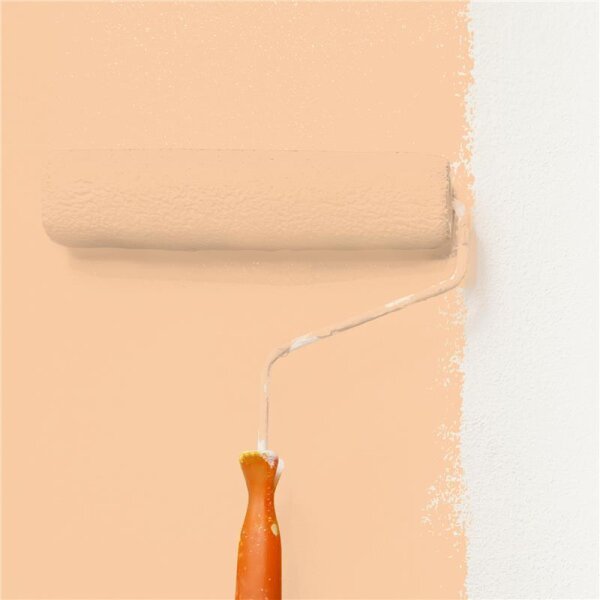 Wandfarbe Matt NCS-S-1020-Y40R WALLCOVER Colors